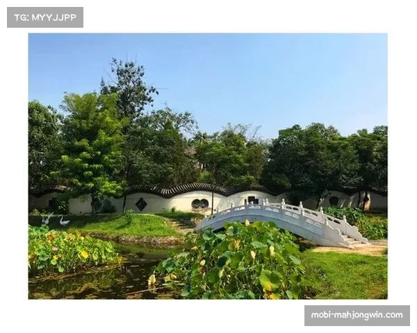 苹果全球转播协议助推美职联突破地域限制，海外观众增长近五成